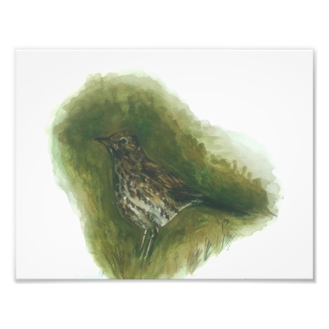 Song thrush garden bird watercolour print  (Front)