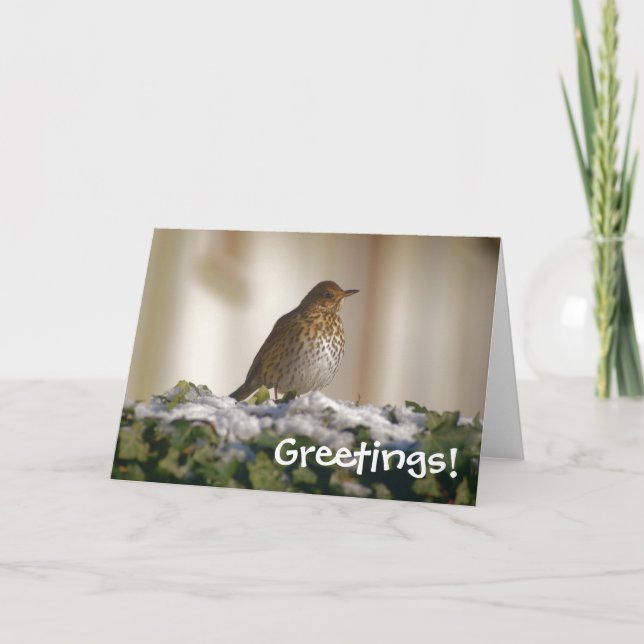 Song Thrush Greetings Card (Front)