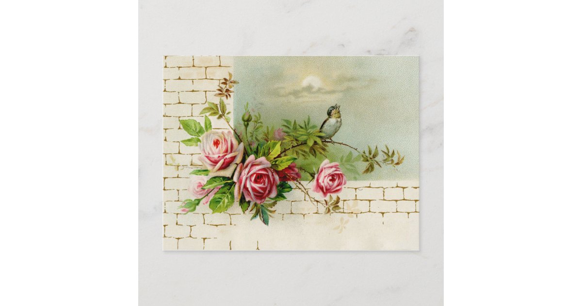 Songbird and Roses Postcard | Zazzle