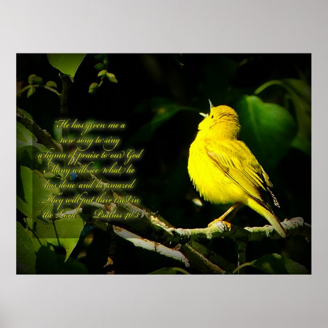 Songbird Inspirational Poster (Front)