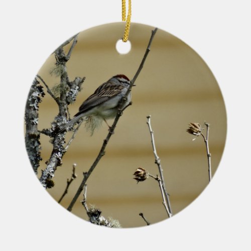 Songbird on branch yellow wood background ceramic ornament