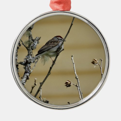 Songbird on branch yellow wood background metal ornament