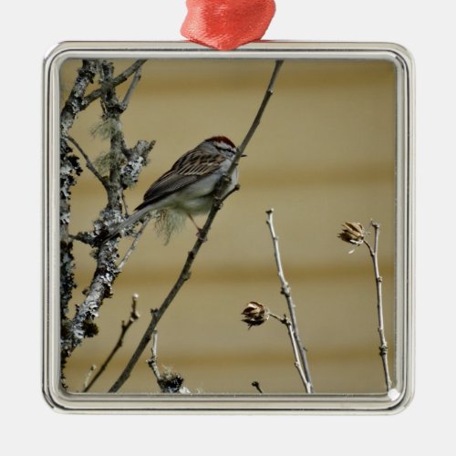 Songbird on branch yellow wood background metal ornament