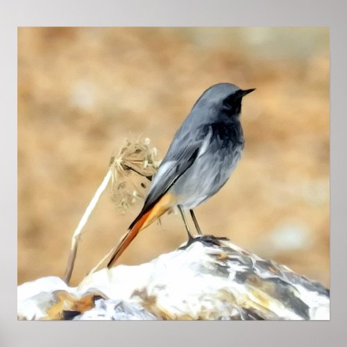 Songbird on the rock Digital art painting  Poster