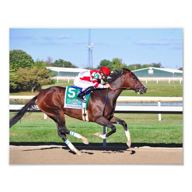 Songbird & Smith Photo Print (Front)