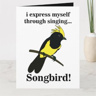 Songbird Tit Bird Funny Birdwatching Birdwatcher 
