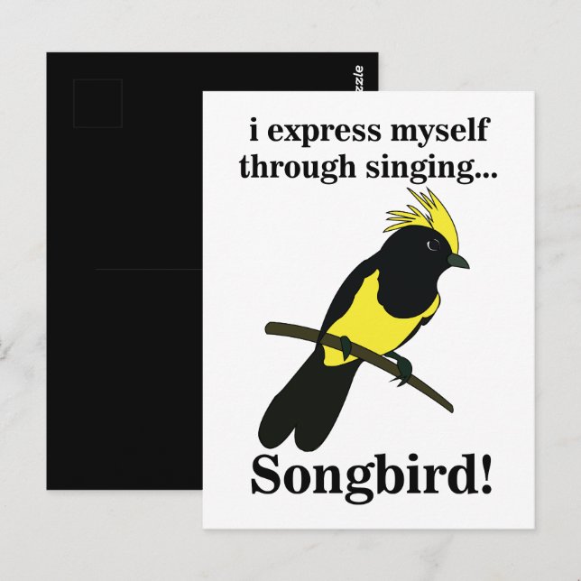 Songbird Tit Bird Funny Birdwatching Birdwatcher Postcard (Front/Back)
