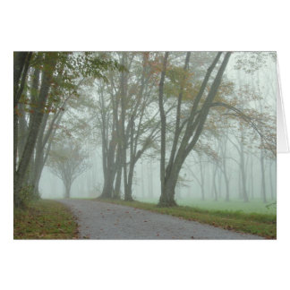 Songbird Trail Cards