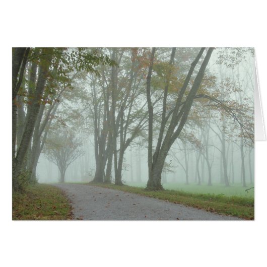 Songbird Trail Cards (Front Horizontal)