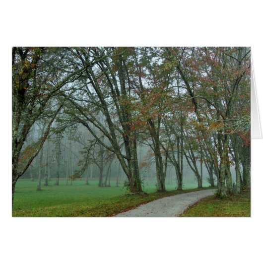 Songbird Trail II Cards (Front Horizontal)