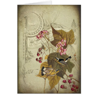 Songbirds and Berries Cards