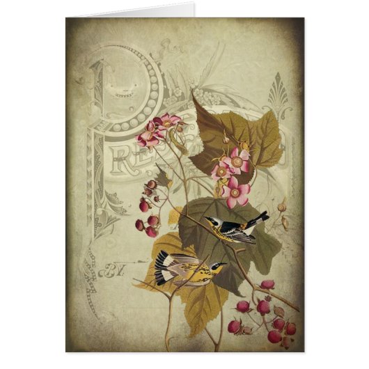Songbirds and Berries Cards (Front)