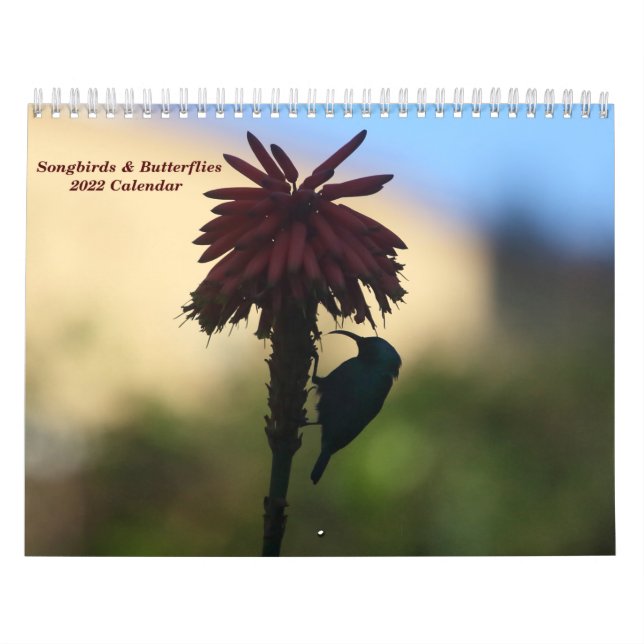 Songbirds & Butterflies 2022 Calendar (Cover)