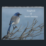Songbirds of North America Calendar<br><div class="desc">These are original photos of birds that I have encountered in the last couple of years.</div>