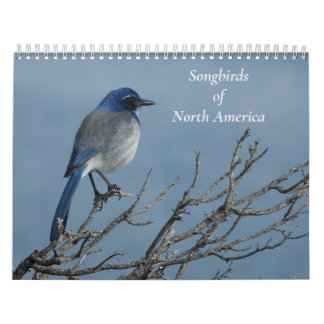 Songbirds of North America Calendar