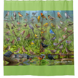 Songbirds of the Pacific Northwest Shower Curtain
