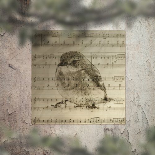 Songs of Birds