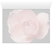 Sonia rose  flowers (Inside Horizontal (Bottom))