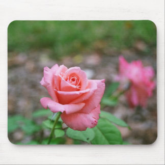 Sonia rose mousepad
