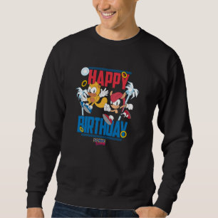 Sonic The Hedgehog Happy Birthday Mighty and Ray B Sweatshirt