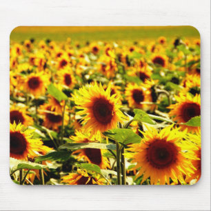 Sonnenblume Mouse Pad
