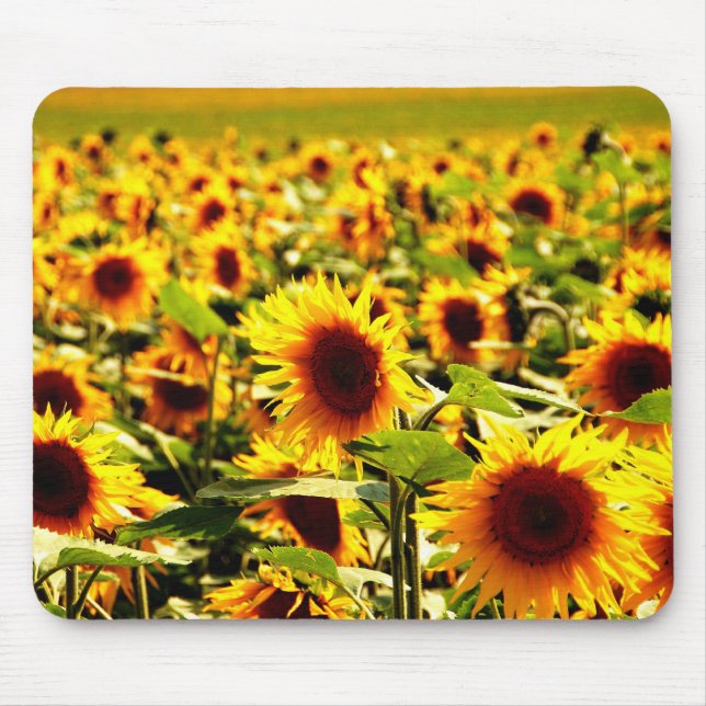 Sonnenblume Mouse Pad (Front)