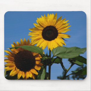 Sonnenblumen Mouse Pad