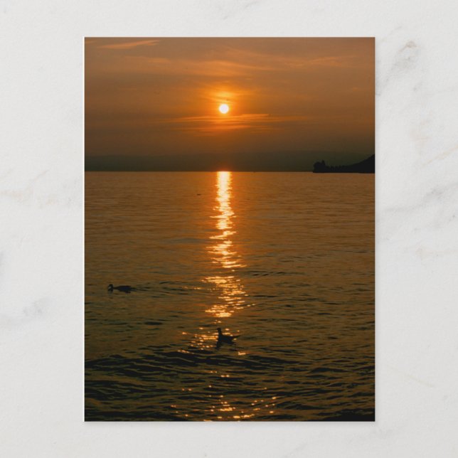 Sonnenuntergang Montreux Postkarte Postcard (Front)