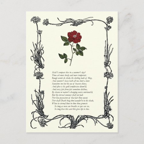 Sonnet  18 by William Shakespeare Postcard
