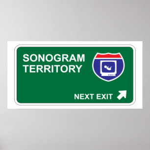 Sonogram Next Exit Poster