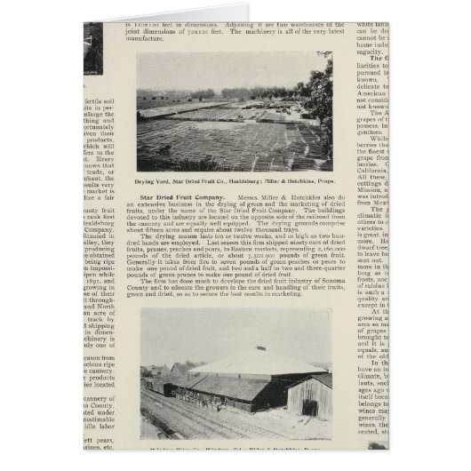 Sonoma County, California (Front)