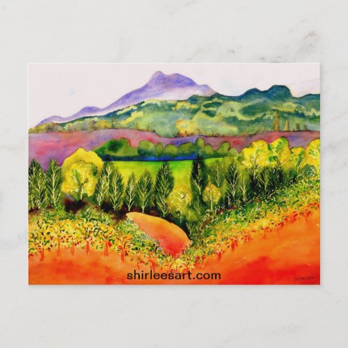 Sonoma County Vineyard Postcard