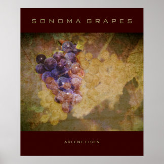 Sonoma Grapes on Vine Poster
