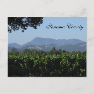 Sonoma Landscape ! Postcard