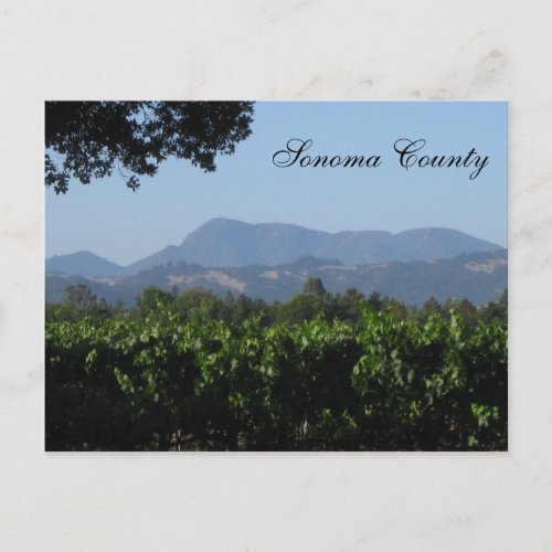 Sonoma Landscape  Postcard