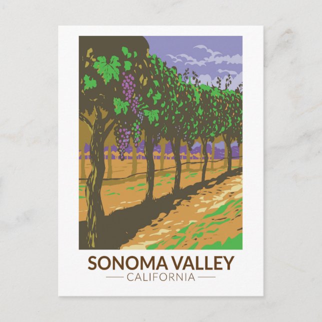 Sonoma Valley California Vineyard Travel Vintage Postcard (Front)