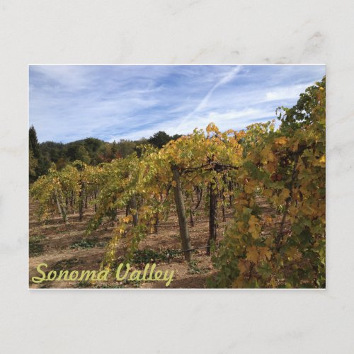 Sonoma Valley Postcard