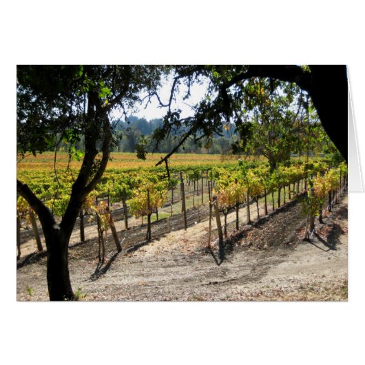 Sonoma Vineyard Cards (Front Horizontal)