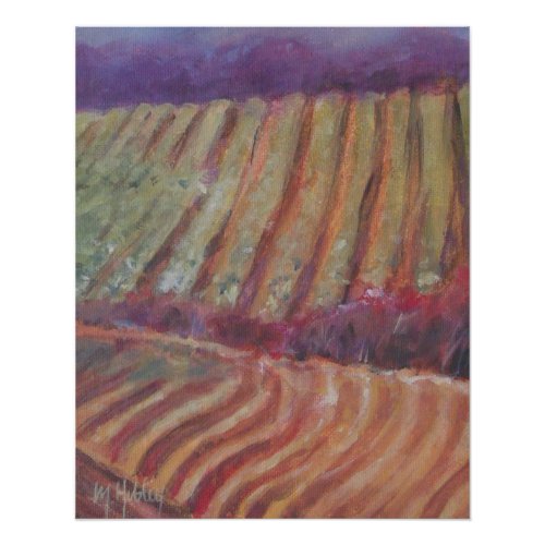 Sonoma Vineyards California vine wine Poster