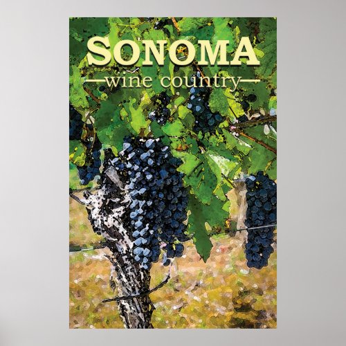 Sonoma Wine Country Poster