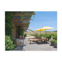 Sonoma Winery
