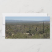 Sonora Desert Museum (Front)