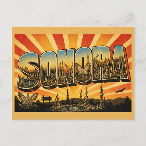 Sonora TX Crystal Cave Helictite Art Postcard