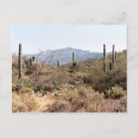 Sonoran Desert Arizona Postcard at Zazzle