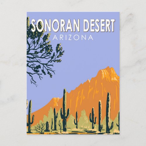 Sonoran Desert Arizona Vintage Art Postcard