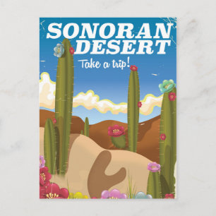 Sonoran Desert cactus Cartoon travel poster. Postcard