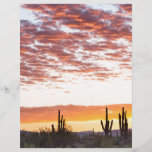 Sonoran Desert Colorful Sunrise Morning