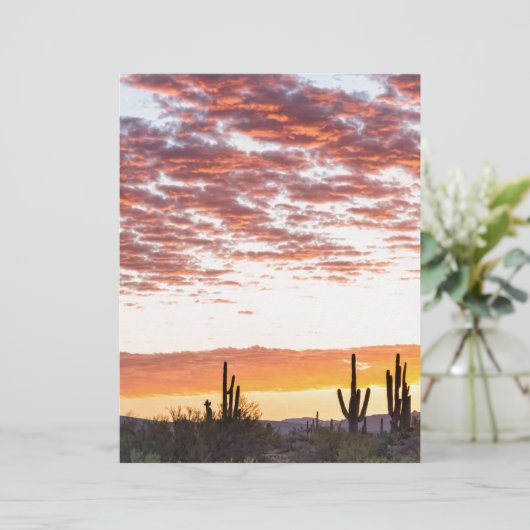 Sonoran Desert Colorful Sunrise Morning (Standing Front)