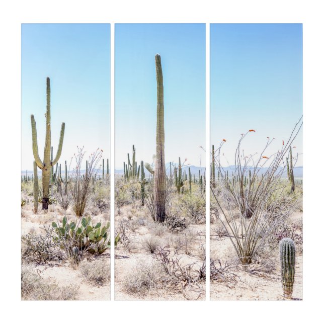 Sonoran desert in the spring triptych (Front)