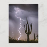 Sonoran Desert Monsoon Storming Postcard